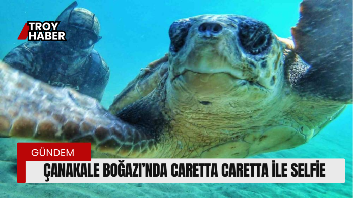 Çanakale Boğazı’nda caretta caretta ile selfie