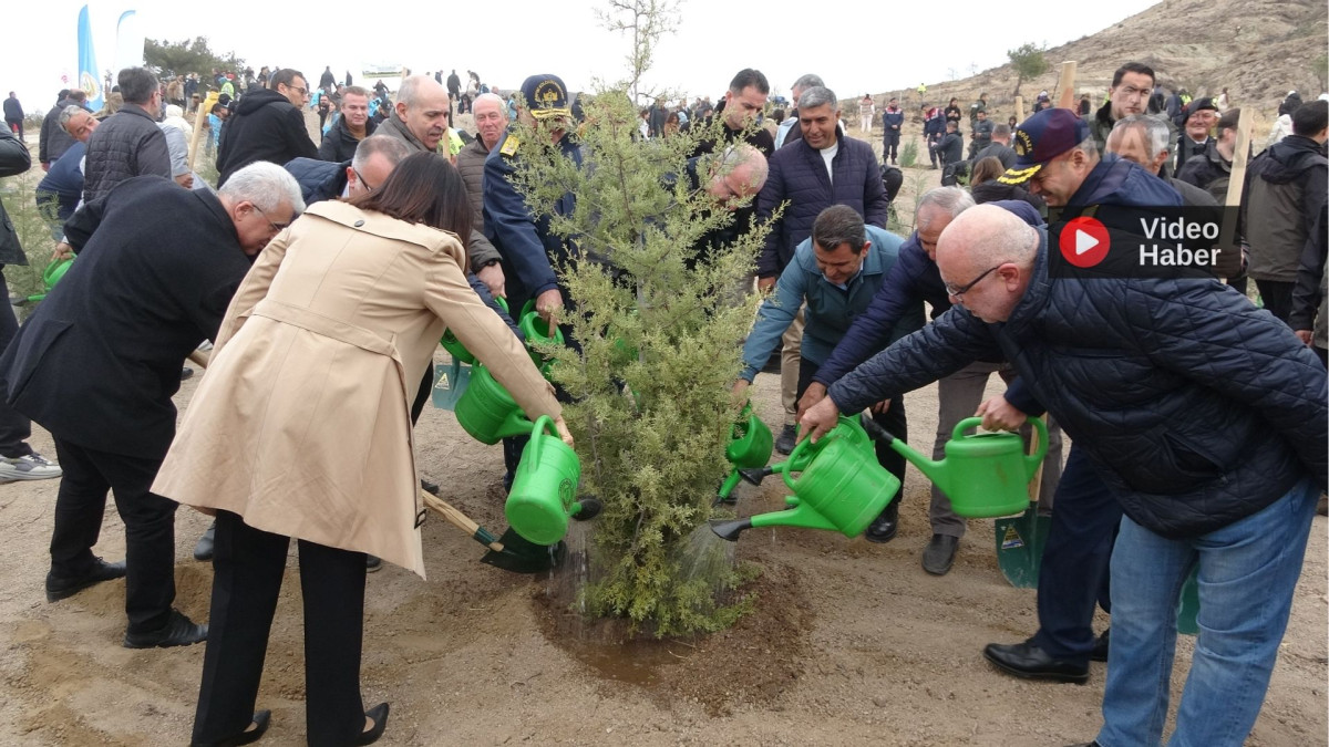 Çanakkale'de Milli Ağaçlandırma Günü çerçevesinde 34 bin 500 bin fidan toprakla buluştu