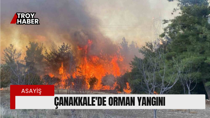 Çanakkale’de orman yangını