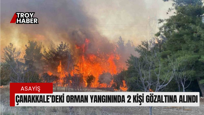 Çanakkale’deki orman yangınında 2 kişi gözaltına alındı